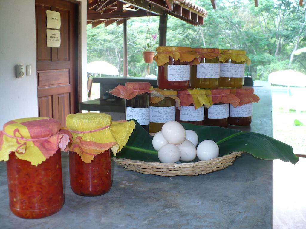 Finca Buena Fuente Residence Hotel Nicoya Zewnętrze zdjęcie