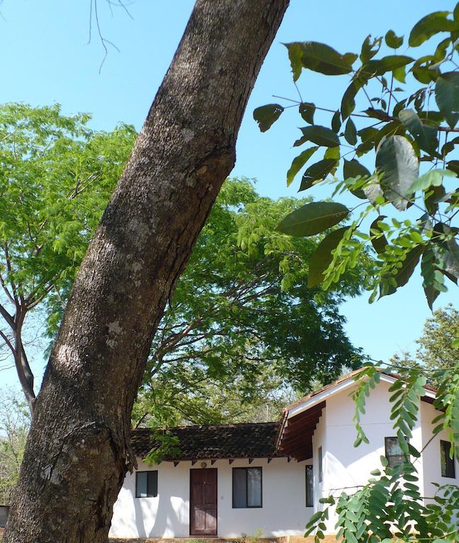 Finca Buena Fuente Residence Hotel Nicoya Zewnętrze zdjęcie
