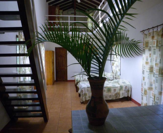 Finca Buena Fuente Residence Hotel Nicoya Zewnętrze zdjęcie